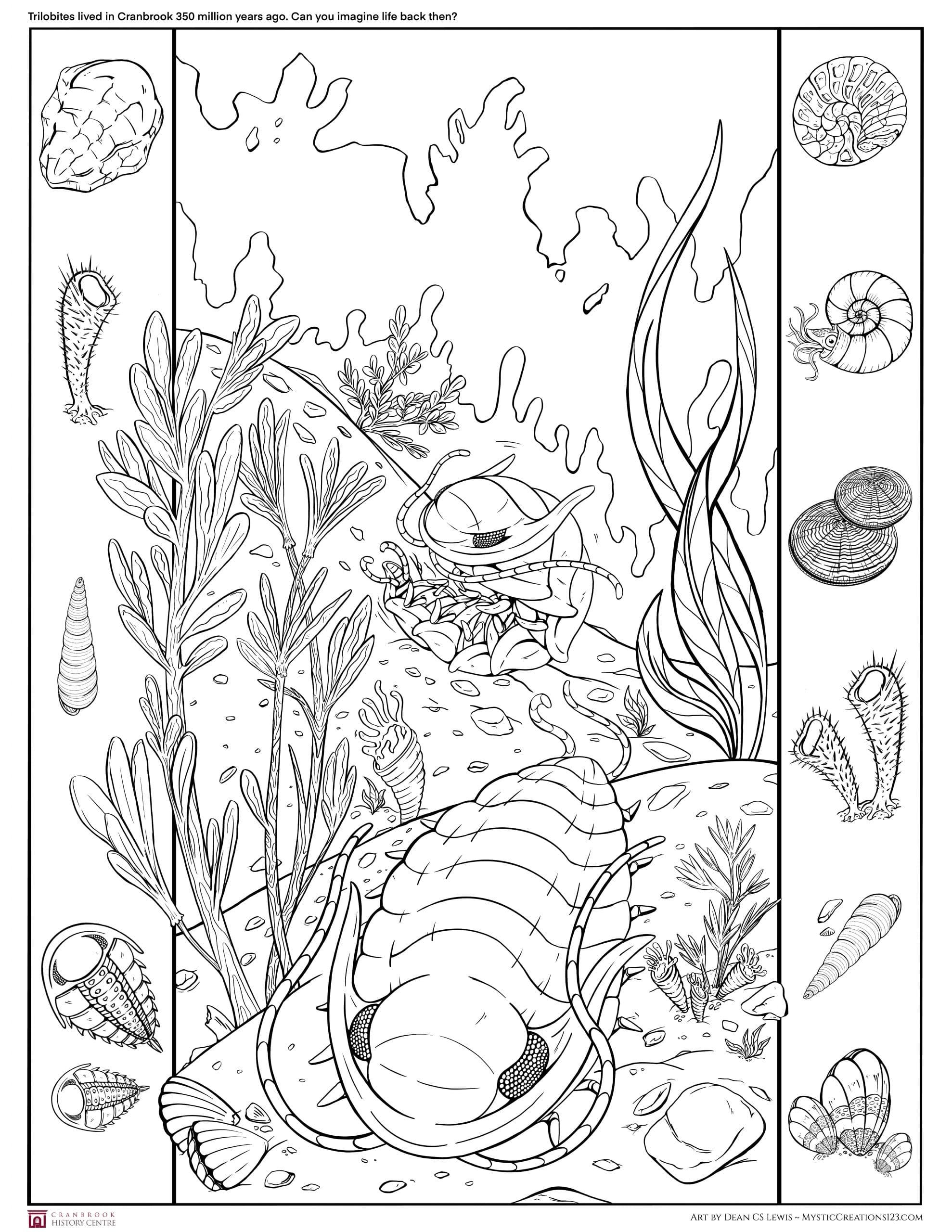 The Ancient World of Trilobites