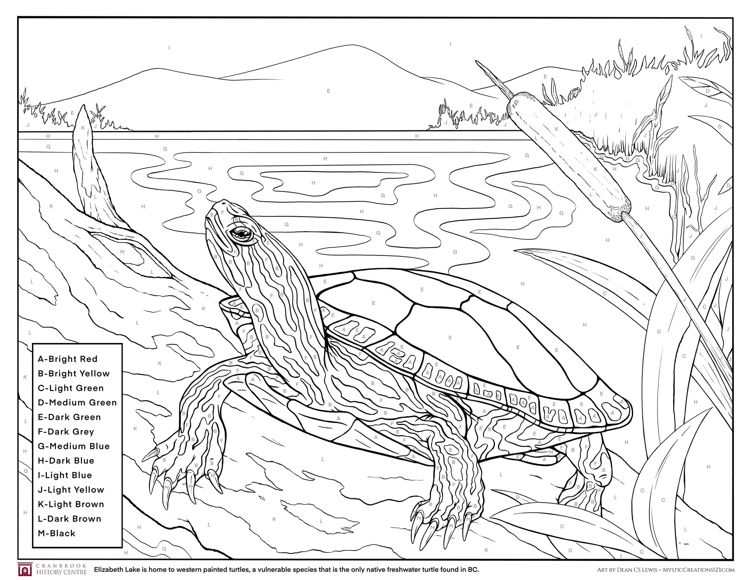 Elizabeth Lake Paint by Numbers